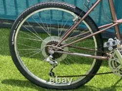 Schwinn Vintage Bike