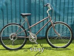 Schwinn Vintage Bike
