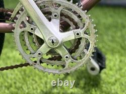 Schwinn Vintage Bike
