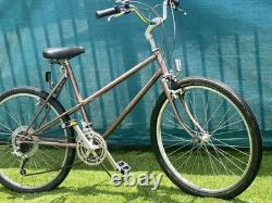 Schwinn Vintage Bike