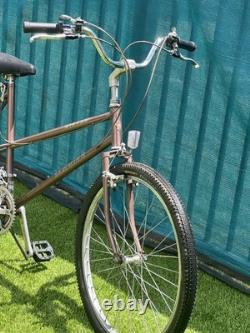Schwinn Vintage Bike