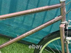 Schwinn Vintage Bike