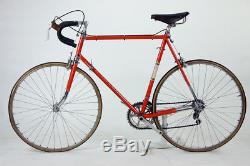 VTG 1970 Schwinn Paramount 61cm Nervex Lugged 531 Campagnolo Road Bike Bicycle