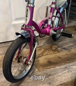 Vintage 1960's Schwinn Stingray LIL Tiger Bicycle