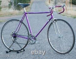 Vintage 1965 Schwinn Violet Super Sport Road Bike Sprint Bicycle 27 Paramount
