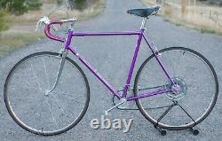 Vintage 1965 Schwinn Violet Super Sport Road Bike Sprint Bicycle 27 Paramount