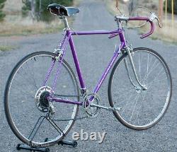 Vintage 1965 Schwinn Violet Super Sport Road Bike Sprint Bicycle 27 Paramount