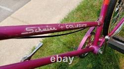 Vintage 1965 Women's Schwinn Collegiate 5 Speed Bicycle Violet Rider