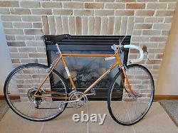 Vintage 1966 Schwinn Varsity 10-Speed Bicycle RESTORED
