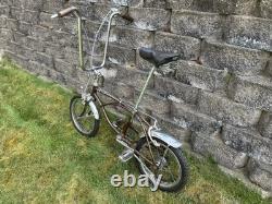 Vintage 1968 Schwinn Sting-Ray Run-A-Bout 16 Bicycle Sierra Brown USA HTF