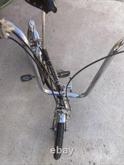 Vintage 1969 Sierra Brown 3-speed Schwinn Stingray Runabout Bicycle Sturmey Arch