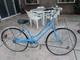 Vintage 1970s Schwinn Breeze Bicycle 3 Speed