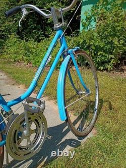 Vintage 1970s Schwinn Suburban Bike