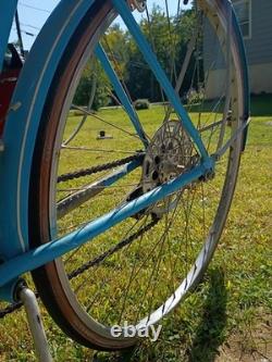 Vintage 1970s Schwinn Suburban Bike