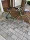 Vintage 1972 Schwinn Suburban Campus Green Classic Chicago Bike