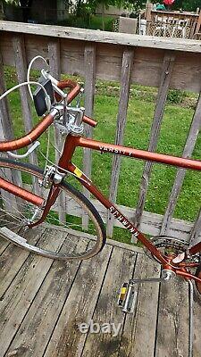 Vintage 1976 USA Chicago Made Schwinn Varsity Men's 10 Speed Excellent Condt