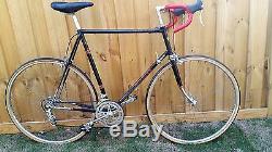 Vintage 1979 Schwinn Voyageur 11.8 with Campy XXL