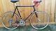 Vintage 1979 Schwinn Voyageur 11.8 With Campy Xxl