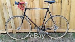 Vintage 1979 Schwinn Voyageur 11.8 with Campy XXL