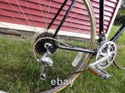 Vintage 1980s Schwinn Traveler Road Bike 12 Speed Original Excellent Conditions