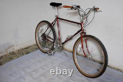 Vintage 1983 Schwinn BMX ATB mountain bike 26 Chicago built Sierra Sidewinder