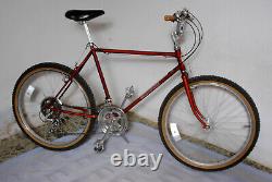 Vintage 1983 Schwinn BMX ATB mountain bike 26 Chicago built Sierra Sidewinder