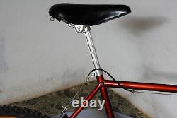 Vintage 1983 Schwinn BMX ATB mountain bike 26 Chicago built Sierra Sidewinder