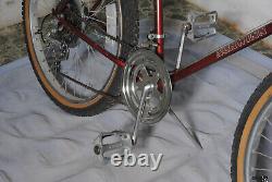 Vintage 1983 Schwinn BMX ATB mountain bike 26 Chicago built Sierra Sidewinder