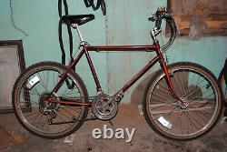 Vintage 1983 Schwinn Sierra mountain bike Chicago built 1st year