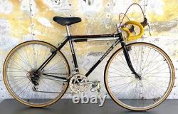 Vintage 1984 Schwinn Voyageur SP Touring bicycle Columbus tubing 19