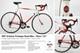 Vintage 1987 Schwinn Prologue Road Bike In A Red-and-white Fade Finish