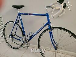 Vintage 1990s Schwinn Paramount Road Bike, All Original, Excellent Condition