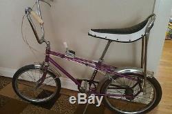 Vintage 20 Royal Sport Super De Luxe Bicycle 3 Speed All Original Bike Schwinn