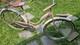 Vintage 26 Schwinn Deluxe Cruiser. Original Chicago Schwinn 1962