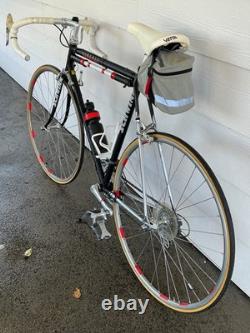 Vintage 80s Schwinn Circuit Road Bike 22