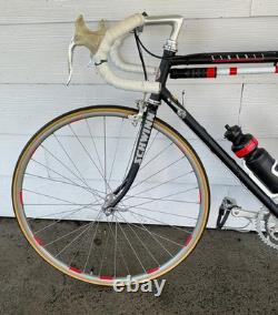 Vintage 80s Schwinn Circuit Road Bike 22