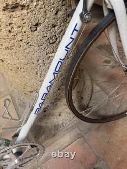 Vintage 90's Schwinn Paramount PDG Series 5 (24.5) Bike