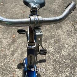 Vintage Late 60's Schwinn 26 Hollywood Blue Men/LadiesCruiser Bicycle