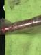 Vintage Nos 1976 Schwinn Stingray Jr. Lil Chick Stingray Midget Oem Original