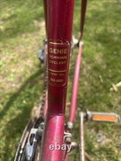 Vintage Schwinn Bicycle