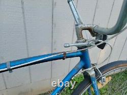 Vintage Schwinn Blue Banana Seat Muscle Bike Bicycle Adult 26