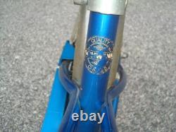 Vintage Schwinn Blue Pixie Bicycle Original Bike 16 Boys or Girls Nice
