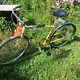 Vintage Schwinn Collegiate 5 Speed Yellow Original Rider