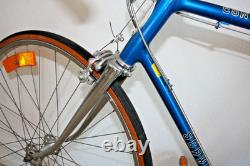 Vintage Schwinn Continental 10 Speed Bike Restored & Serviced New Tires & Tubes
