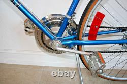 Vintage Schwinn Continental 10 Speed Bike Restored & Serviced New Tires & Tubes