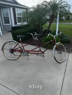 Vintage Schwinn Deluxe Twinn bicycle. Bronze color, great condition for age