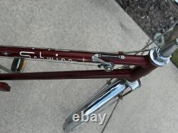 Vintage Schwinn Deluxe Twinn bicycle. Bronze color, great condition for age