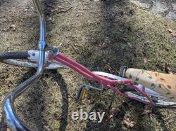 Vintage Schwinn Fair Lady Bike For Restore Or Parts Not Working As It Is