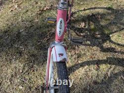 Vintage Schwinn Fair Lady Bike For Restore Or Parts Not Working As It Is