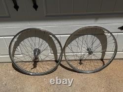 Vintage Schwinn Flat Lobdell wheels 46/47